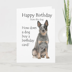 Cartão de Aniversário do Cão de Gado