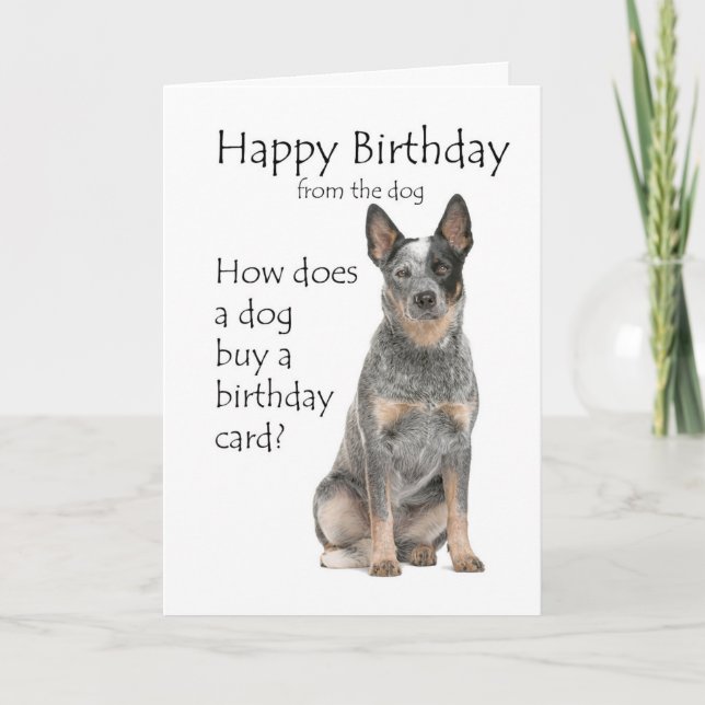 Cartão de Aniversário do Cão de Gado (Frente)