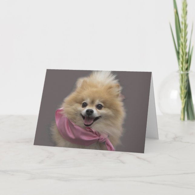 Cartão de aniversário do cão de Pomeranian pelo (Frente)