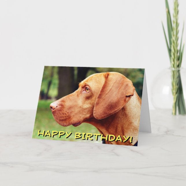 Cartão de aniversário do cão de Vizsla (Frente)