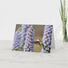 Cartão de aniversário do colibri