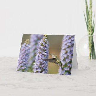 Cartão de aniversário do colibri