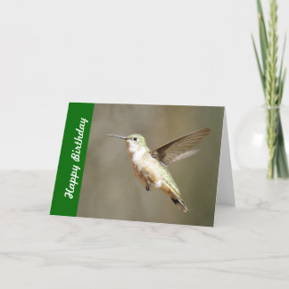 Cartão de aniversário do colibri