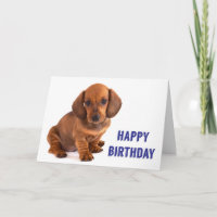 Cartão de Aniversário do Dachshund Puppy
