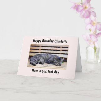 Cartão de Aniversário do Dia Puro do Cat Personali