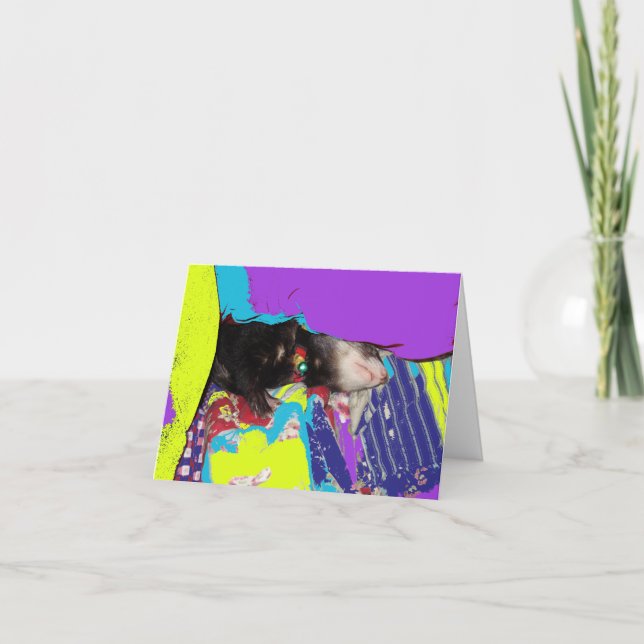 Cartão de Aniversário do Ferret Nap (Frente)