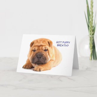 Cartão de aniversário do filhote de cachorro de
