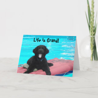 Cartão de aniversário do filhote de cachorro de