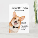 Cartão de Aniversário do Funny Corgi<br><div class="desc">Este cartão de aniversário engraçado do Pembroke Welsh Corgi não é só para amantes do Corgi.</div>