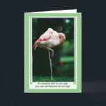 Cartão de Aniversário do Funny Flamingo<br><div class="desc">Alguém está ficando mais velho, e que melhor hora de enviar um cartão de aniversário engraçado, certo? Nosso "Cartão de Aniversário Engraçado" ajustado a conta por se divertir um pouco com os efeitos de se tornar um cidadão mais velho. Ou até mesmo para mandar para alguém que passou pela colina!...</div>