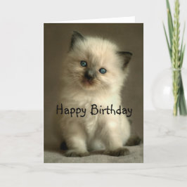 Cartão de aniversário do gatinho de Ragdoll