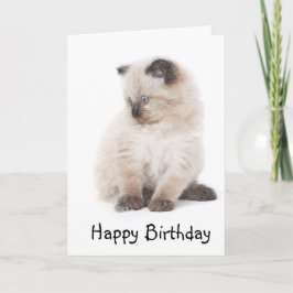Cartão de aniversário do gatinho de Ragdoll