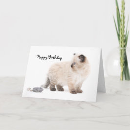 Cartão de aniversário do gatinho de Ragdoll