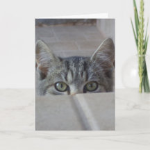Cartão de aniversário do gatinho Peek-a-boo