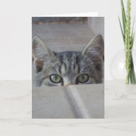 Cartão de aniversário do gatinho Peek-a-boo