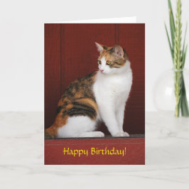 Cartão de aniversário do gato de chita