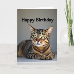 Cartão de Aniversário do Gato de Olhos Verdes