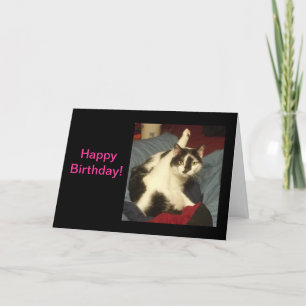 Cartão de aniversário do gato do gatinho