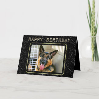 Cartão de aniversário do german shepherd