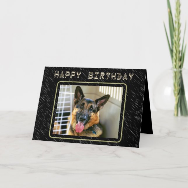 Cartão de aniversário do german shepherd (Frente)