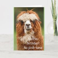 Cartão de Aniversário do Llama Alpaca Sem Prob-lem