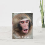 Cartão de Aniversário do Macaco Japonês<br><div class="desc">Uma bela fotografia de um macaco japonês com um bebê do fotógrafo Dave Fletcher</div>
