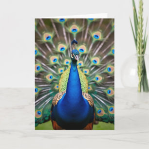 Cartão de Aniversário do Pássaro Azul
