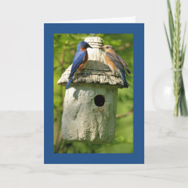 cartão de aniversário do pássaro azul