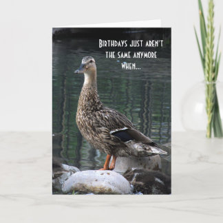 Cartão de Aniversário do Pato Engraçado