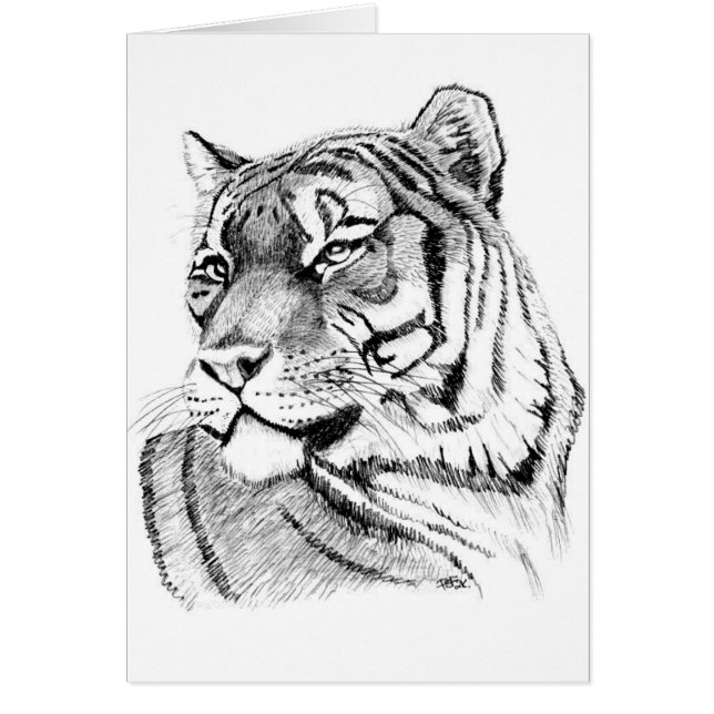 Cartão de aniversário do tigre (Frente)