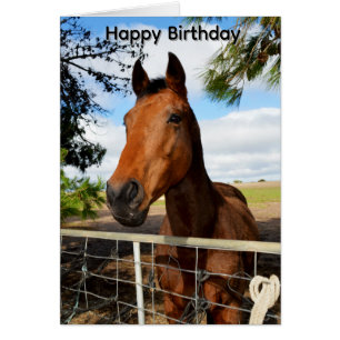 Cartão de Aniversário do Tulip, o Cavalo Baio Marr
