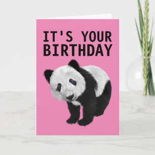 CARTÃO DE ANIVERSÁRIO DO URSO PANDA