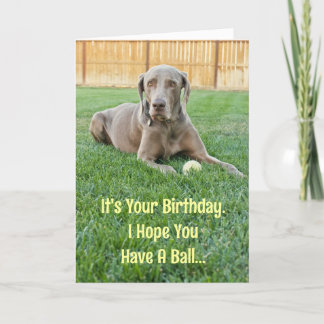 Cartão de Aniversário do Weimaraner