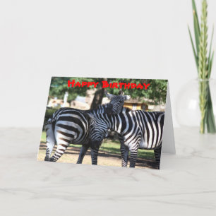 Cartão de Aniversário dos Amigos Zebra