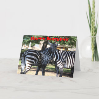Cartão de Aniversário dos Amigos Zebra