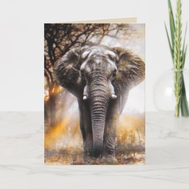 Cartão de Aniversário Elefante (Frente)