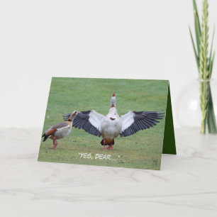 Cartão de aniversário engraçado