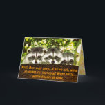 Cartão de aniversário engraçado 2 do guaxinim<br><div class="desc">Três guaxinins do bebê que espreitam sobre um membro,  subtítulo lêem,  "Psst! Quando ya que vai cortar esse bolo? - Direitos reservados Iolani Lenore da foto do FELIZ ANIVERSARIO,  Berkeley,  Calif 2006 usado com permissão</div>