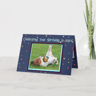Cartão de Aniversário Engraçado com Basset e Abaca