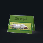 Cartão de Aniversário Engraçado com Caça-Basquete<br><div class="desc">Cartão de Aniversário Engraçado com Caça-Basquete Dormindo</div>