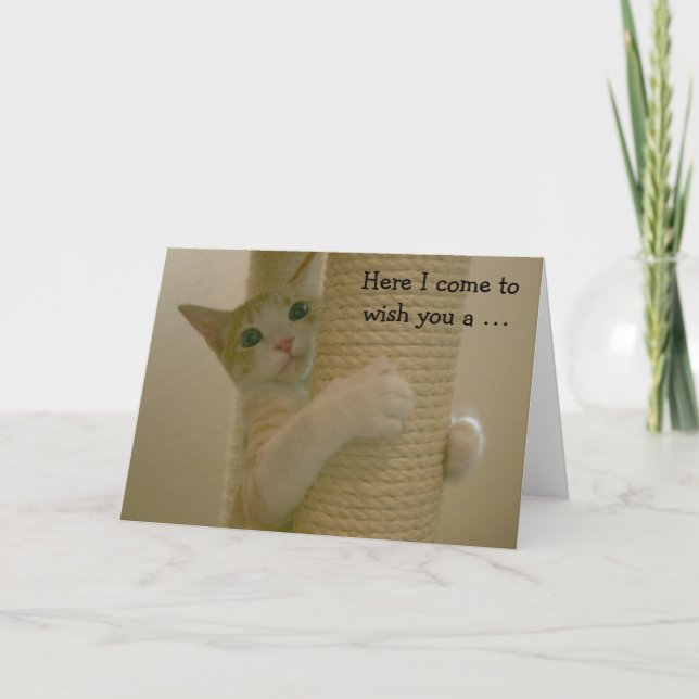 Cartão de aniversário engraçado com gato de (Frente)