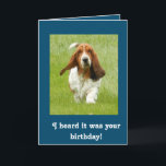 Cartão de aniversário engraçado de Basset Hound<br><div class="desc">Cartão de aniversário engraçado de Basset Hound</div>