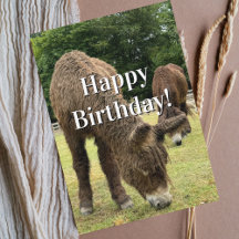 Cartão de Aniversário Engraçado de Burro de Fazend