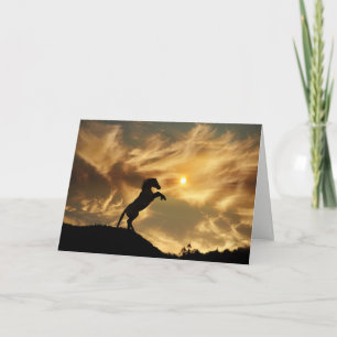 Cartão de Aniversário Engraçado de Cavalo Selvagem