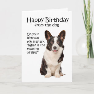 Cartão de Aniversário Engraçado de Corgi