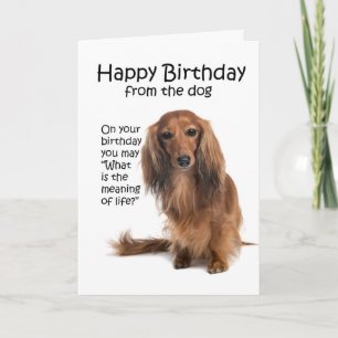 Cartão de Aniversário Engraçado de Dachshund