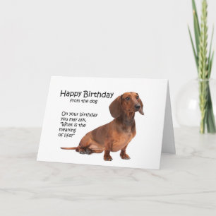 Cartão de Aniversário Engraçado de Dachshund
