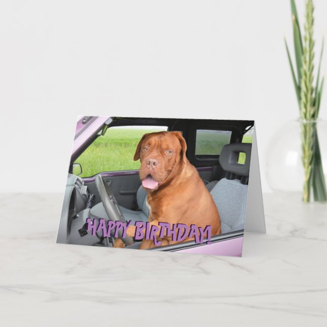 Cartão de aniversário engraçado de dogue de (Frente)