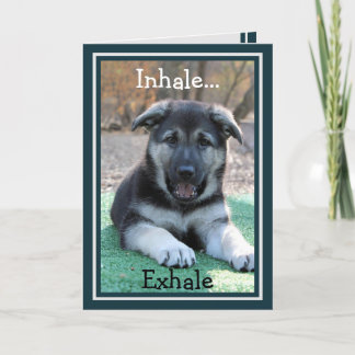 Cartão de Aniversário Engraçado de german shepherd