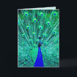 CARTÃO DE ANIVERSÁRIO ENGRAÇADO DE PAZ<br><div class="desc">CARTÃO DE ANIVERSÁRIO DO PEACOCK. DENTRO READS: ATIRE SUAS COISAS! É SEU ANIVERSÁRIO!</div>